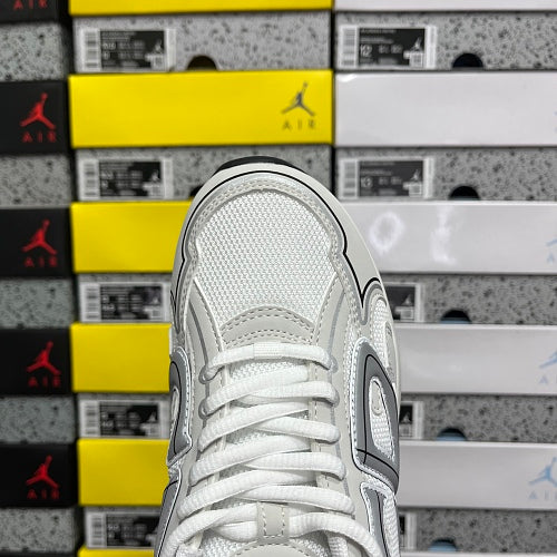 Dior B30 'White Grey'